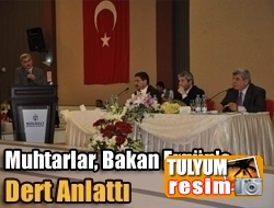 Muhtarlar, Bakan Ergüne dert anlattı