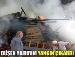 Düşen yıldırım yangın çıkardı