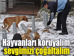 Hayvanları koruyalım, sevgimizi çoğaltalım