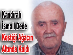 Kestiği ağacın altında öldü