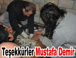 Teşekkürler Mustafa Demir