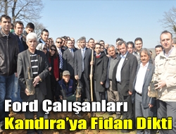 Ford çalışanları Kandıraya fidan dikti