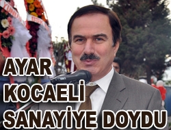 Ayar Kocaeli sanayiye doydu