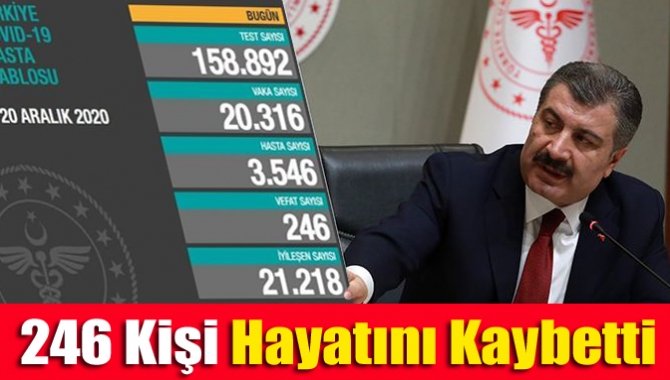 246 kişi hayatını kaybetti