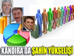 Kandırada Şahin yükselişi