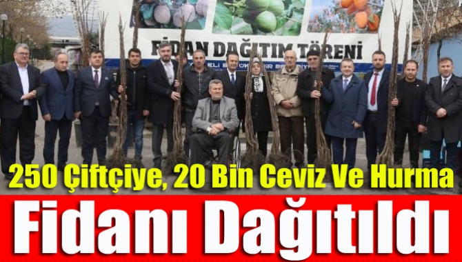 250 çiftçiye, 20 bin ceviz ve hurma fidanı dağıtıldı