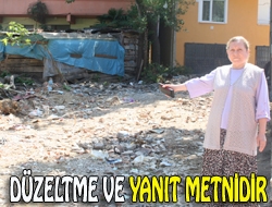 Düzeltme ve yanıt metnidir