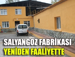 Salyangoz fabrikası yeniden faaliyette