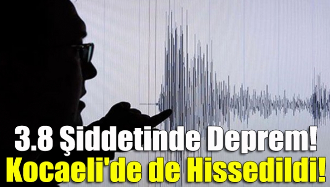 3.8 Şiddetinde Deprem! Kocaeli'de de Hissedildi!