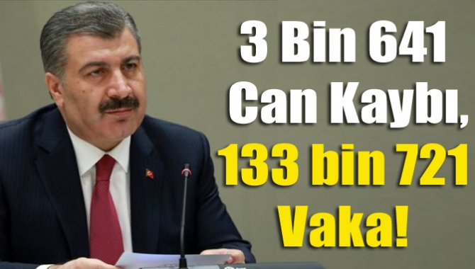 3 Bin 641 Can Kaybı, 133 bin 721 Vaka!