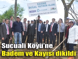 Sucuali Köyüne Badem ve Kayısı Hayat Verecek