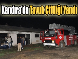 Kandıra'da Tavuk Çiftliği Yandı