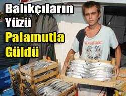 Balıkçıların Yüzü Palamutla Güldü