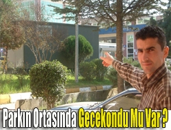 Parkın ortasında gecekondu mu var ?