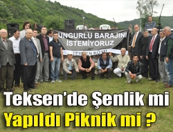 Teksende Şenlik mi Yapıldı Piknik mi ?