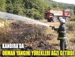 Kandırada orman yangını yürekleri ağzı getirdi