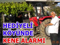 Hediyeli Köyünde Kene alarmı