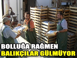 Bolluğa rağmen balıkçılar gülmüyor