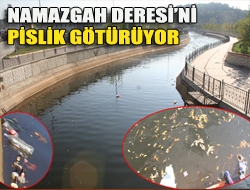 Namazgah Deresini pislik götürüyor