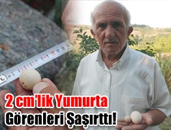 2 santimlik yumurta görenleri şaşırttı!