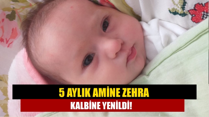 5 aylık Amine Zehra kalbine yenildi!