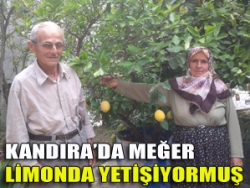 Kandırada meğer limonda yetişiyormuş