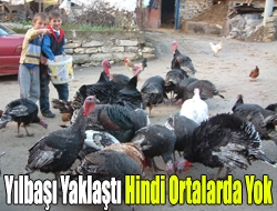 Yılbaşı yaklaştı hindi ortalarda yok