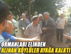 Ormanları elinden alınan köylüler ayağa kalktı