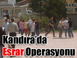 Kandıra’da esrar operasyonu