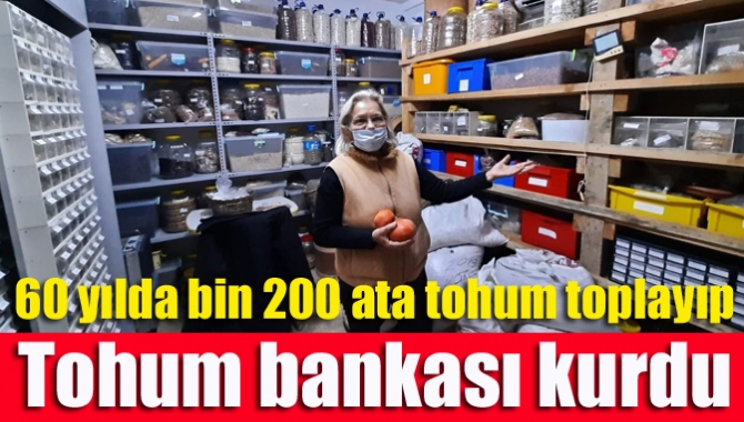 60 yılda bin 200 ata tohum toplayıp tohum bankası kurdu