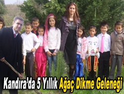 Kandırada 5 yıllık ağaç dikme geleneği