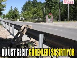 Bu üst geçit görenleri şaşırtıyor