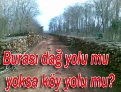 Burası dağ yolu mu, yoksa köy yolu mu?