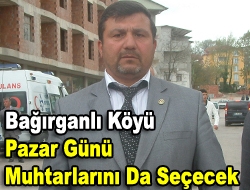 Bağırganlı Köyü Pazar günü muhtarlarını da seçecek