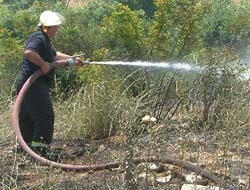 Dikkatsizlik fındık bahçesini yok etti