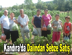 Kandırada Dalından Sebze Satış