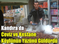 Kandırada Ceviz ve kestane köylünün yüzünü güldürdü