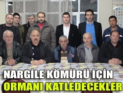 Nargile kömürü için ormanı katledecekler