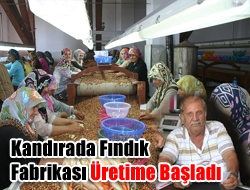 Kandırada Fındık Fabrikası Üretime Başladı