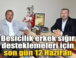 Besicilik erkek sığır desteklemeleri için son gün 12 Haziran