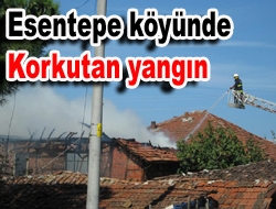 Kandıra Esentepe köyünde korkutan yangın