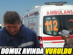 Domuz avında vuruldu