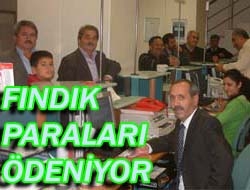 Fındık paraları ödeniyor