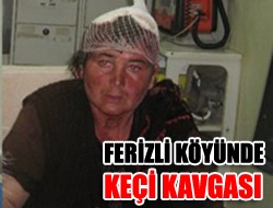 Ferizli Köyünde Keçi Kavgası