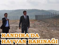 Kandıra'da hayvan barınağı