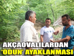 Akçaovalılardan odun ayaklanması