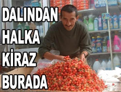 Dalından Halka Kiraz burada