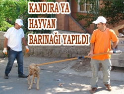 Kandıra’ya Hayvan Barınağı Yapıldı