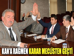 Kana rağmen karar meclisten geçti