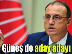 Güneş de aday adayı